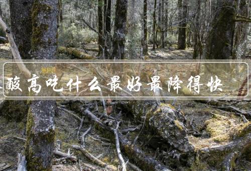 尿酸高吃什么最好最降得快