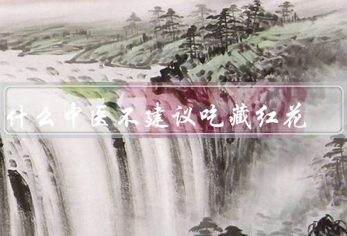 为什么中医不建议吃藏红花