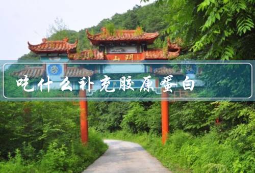 吃什么补充胶原蛋白