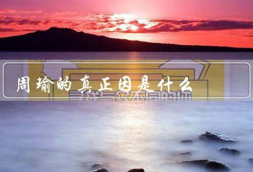 周瑜的真正因是什么