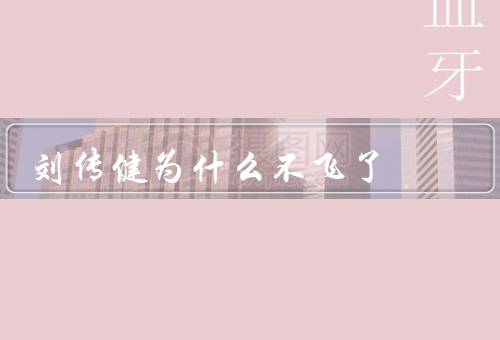 刘传健为什么不飞了