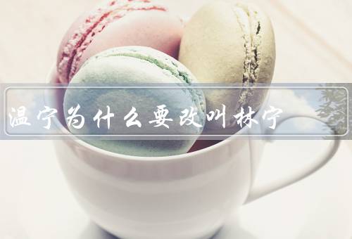 温宁为什么要改叫林宁