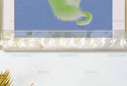 打完流感疫苗有效期是多久多少钱，1年左右（普遍100元—300元）
