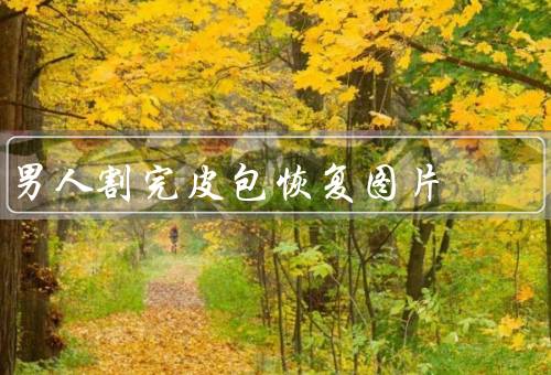 男人割完皮包恢复图片