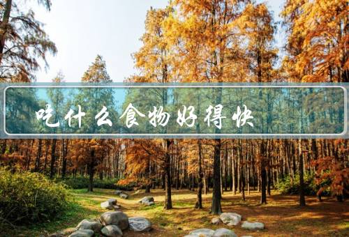 吃什么食物好得快
