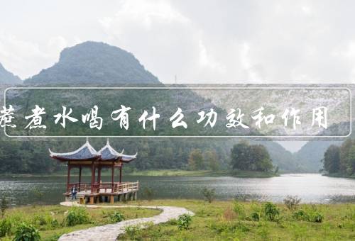 甘蔗煮水喝有什么功效和作用
