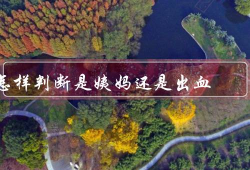 怎样判断是姨妈还是出血