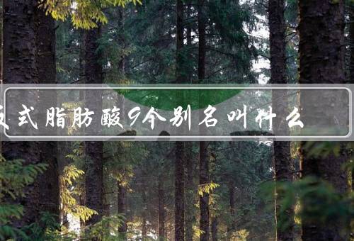 反式脂肪酸9个别名叫什么
