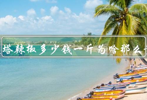 查拉皮塔辣椒多少钱一斤为啥那么贵