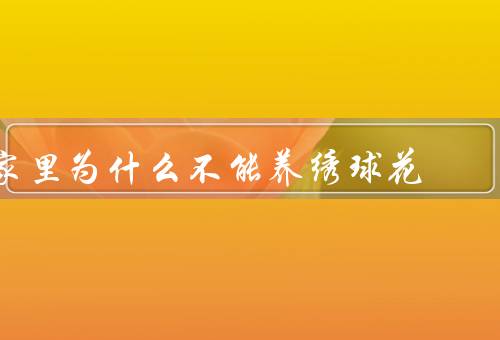 家里为什么不能养绣球花