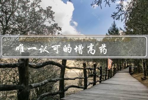 唯一认可的增高药