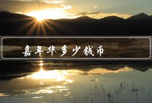 嘉年华多少钱币