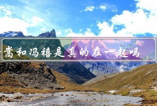 许嵩和冯禧是真的在一起吗