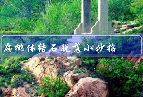 扁桃体结石脱落小妙招