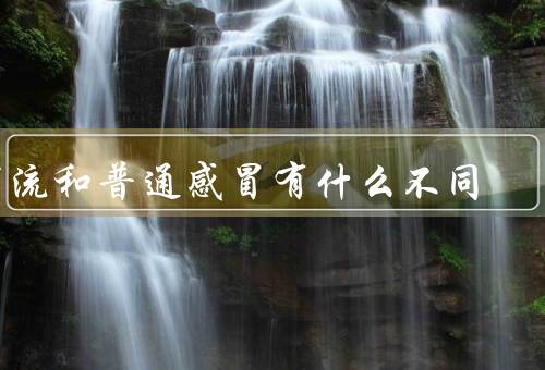 甲流和普通感冒有什么不同
