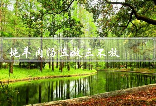 炖羊肉汤三放三不放