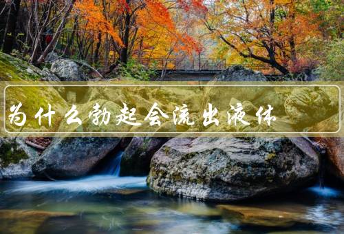 为什么勃起会流出液体