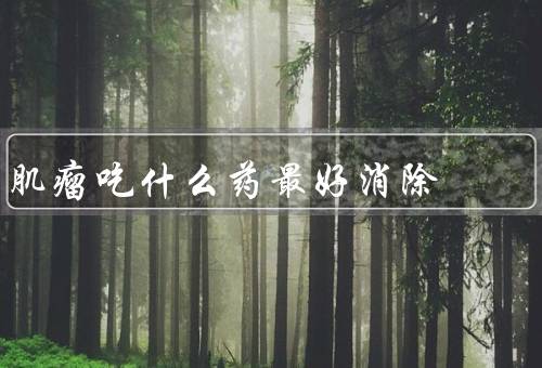 肌瘤吃什么药最好消除