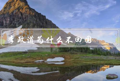 李政道为什么不回国