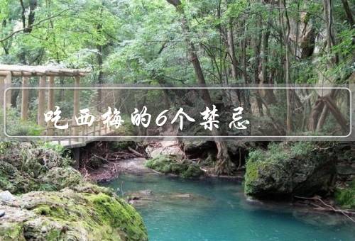 吃西梅的6个禁忌
