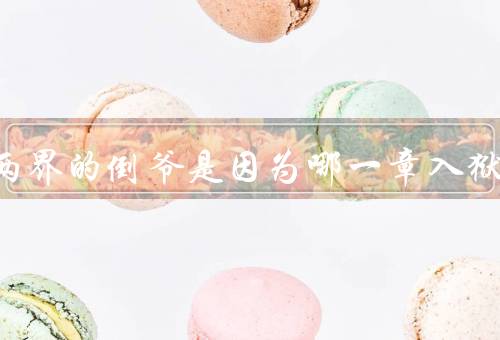 穿越两界的倒爷是因为哪一章入狱