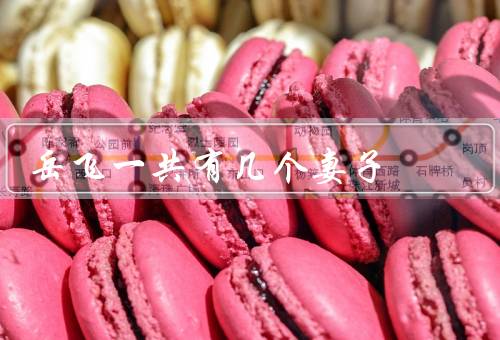 岳飞一共有几个妻子