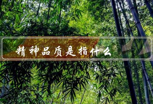 精神品质是指什么