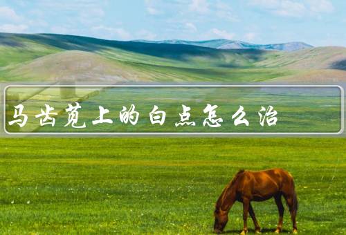 马齿苋上的白点怎么治
