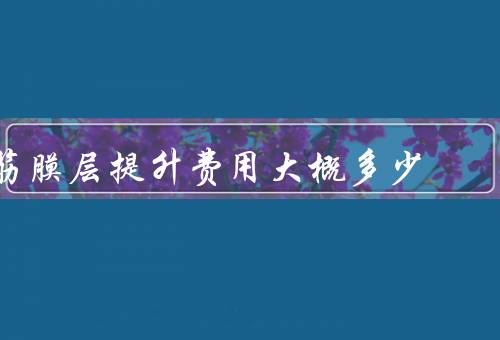 筋膜层提升费用大概多少