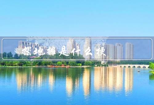摆地摊是什么梗