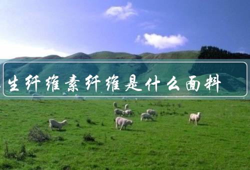 再生纤维素纤维是什么面料