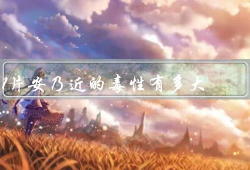 1片安乃近的毒性有多大