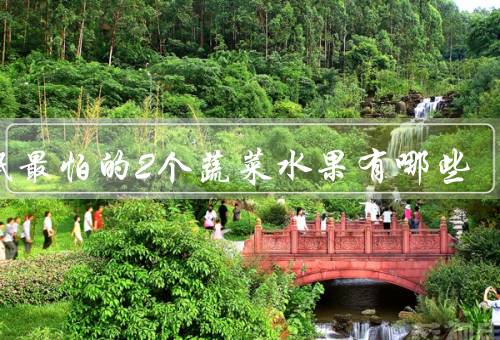 失眠最怕的2个蔬菜水果有哪些