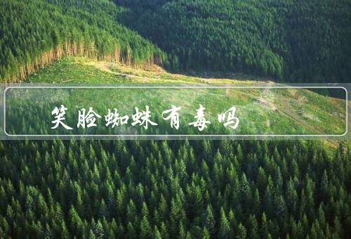 笑脸蜘蛛有毒吗