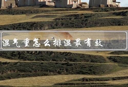 湿气重怎么排湿最有效