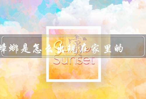 蟑螂是怎么出现在家里的