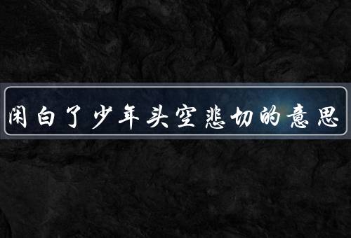 莫等闲白了少年头空悲切的意思