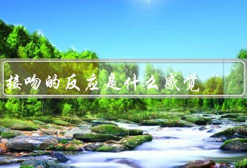 接吻的反应是什么感觉