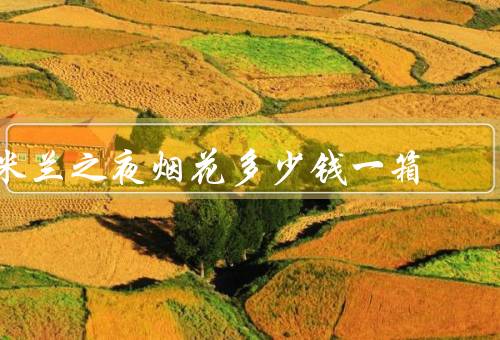 米兰之夜烟花多少钱一箱