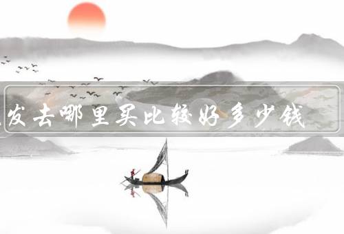 假发去哪里买比较好多少钱