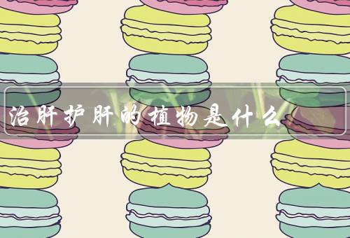 治肝护肝的植物是什么