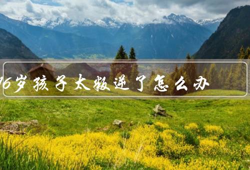 16岁孩子太叛逆了怎么办