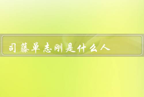 司藤单志刚是什么人