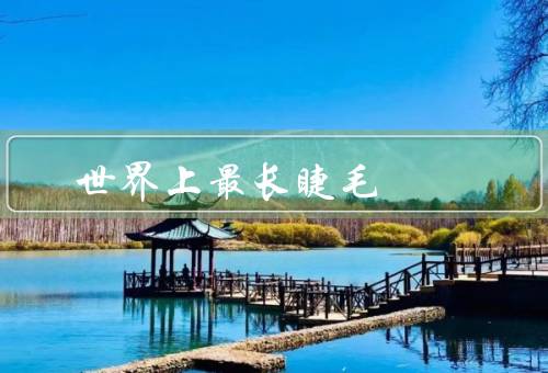 世界上最长睫毛