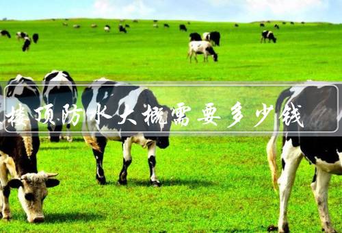做楼顶防水大概需要多少钱