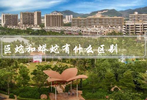 巨蛇和蟒蛇有什么区别