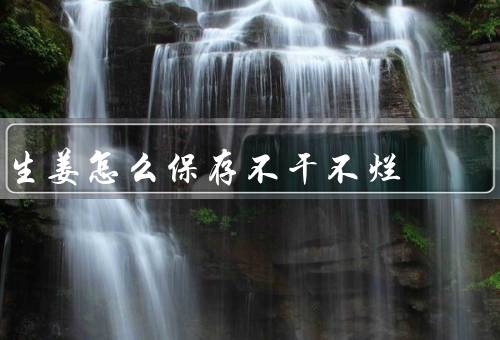 生姜怎么保存不干不烂
