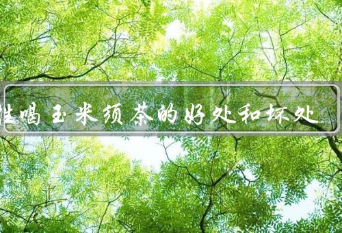 女性喝玉米须茶的好处和坏处