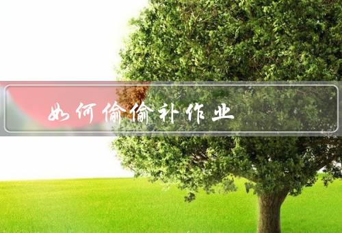 如何偷偷补作业