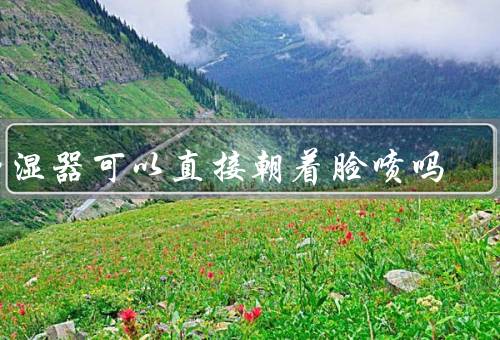 加湿器可以直接朝着脸喷吗